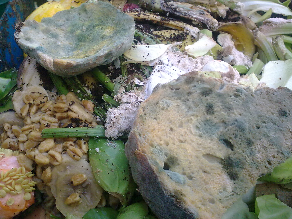 Americans Waste Nearly 40% of Their Food Every Year (image credits: flickr)