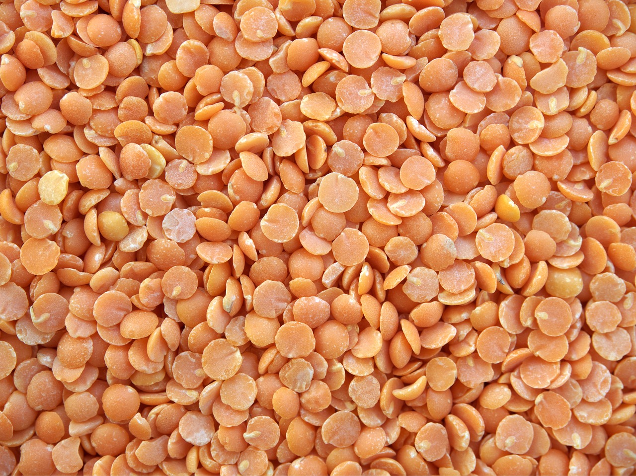 Lentils: The Protein-Packed Powerhouse (image credits: pixabay)