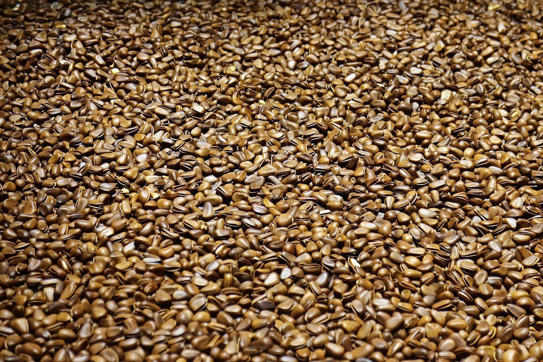 Seeds: Tiny Packages of Magnesium and Heart-Healthy Fats (image credits: unsplash)