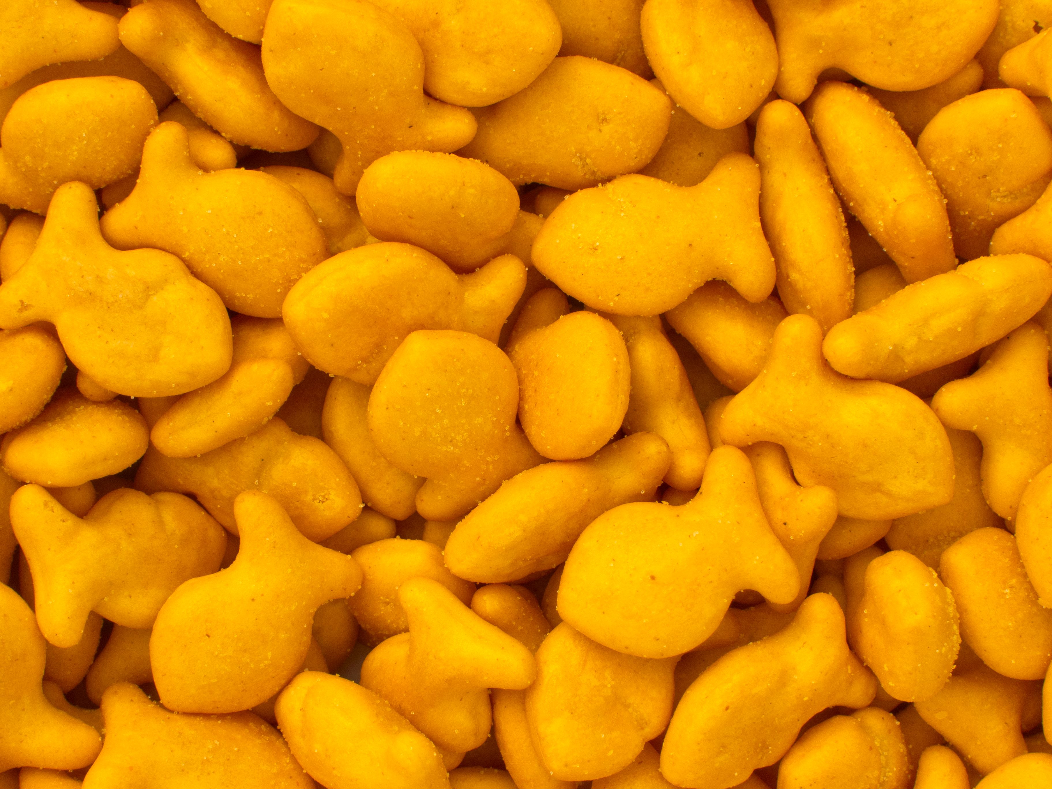 Goldfish Crackers - The 