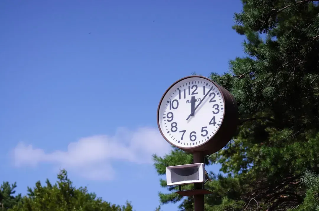 When Menu Photos Lie and Reality Hits Hard (Image Credits: Unsplash)