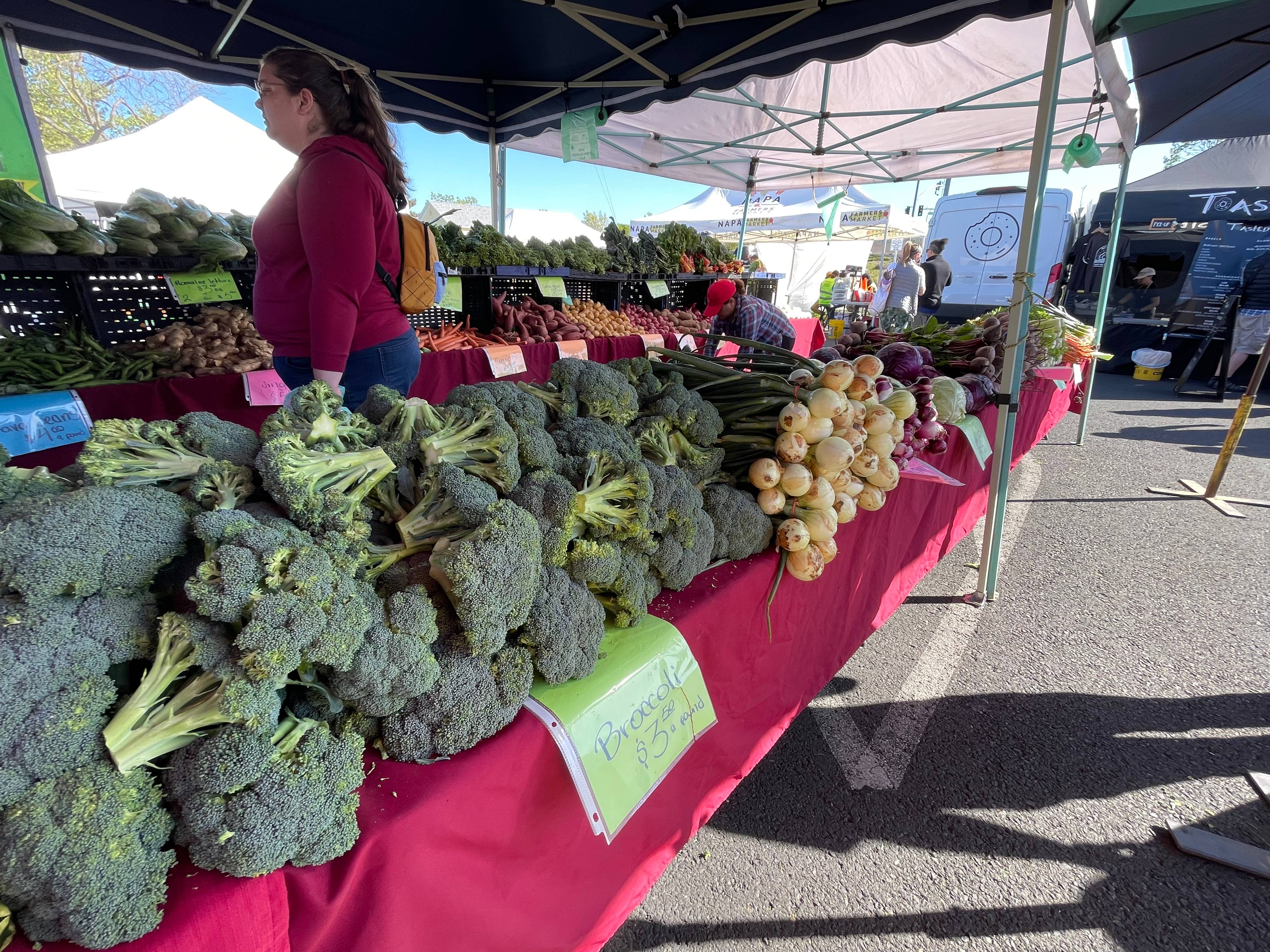 Consumer Choices: The Power and the Pitfalls (image credits: wikimedia)