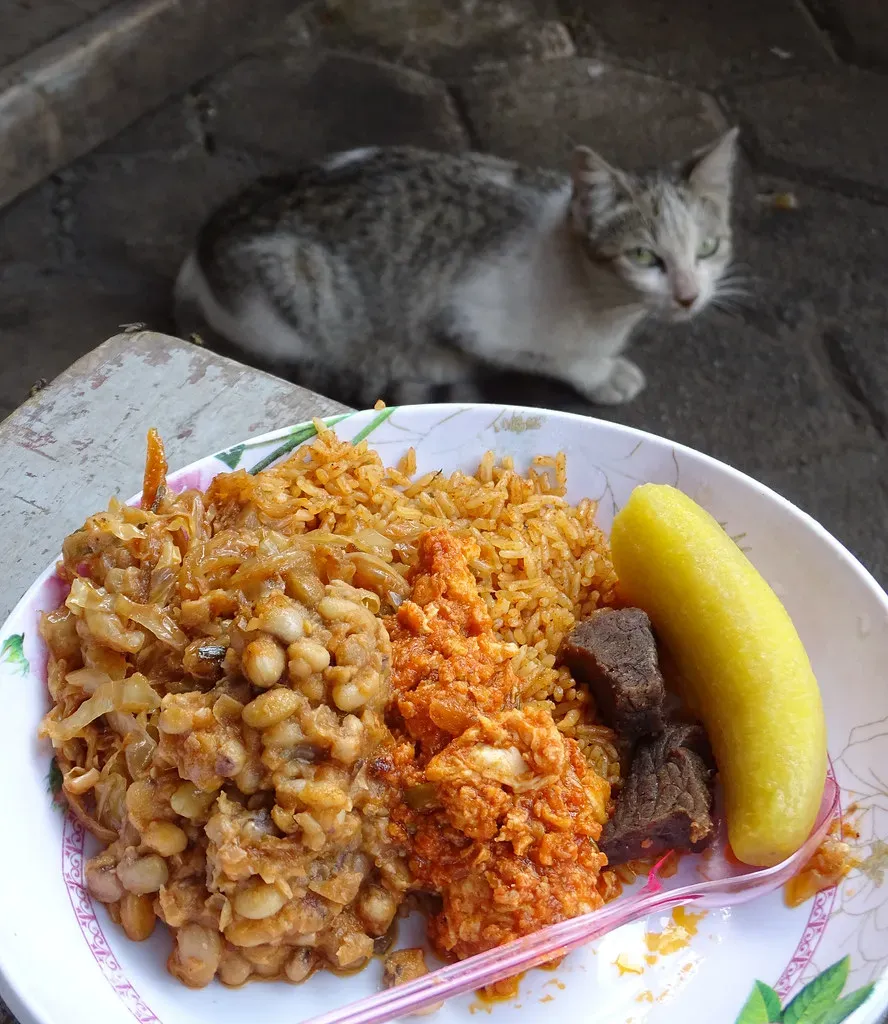 Plate Size Affects How Much You Eat (But Not How You Think) (Image Credits: Flickr)