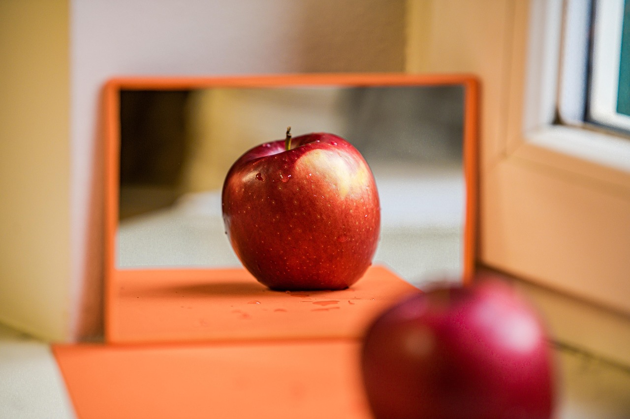 Shelf Life and Convenience (image credits: pixabay)