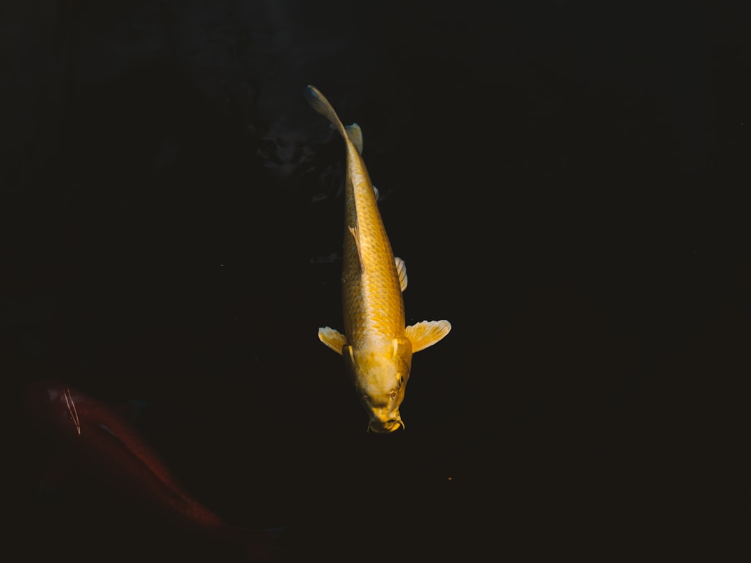 Strange Sensations: Tingling or Numbness (image credits: unsplash)