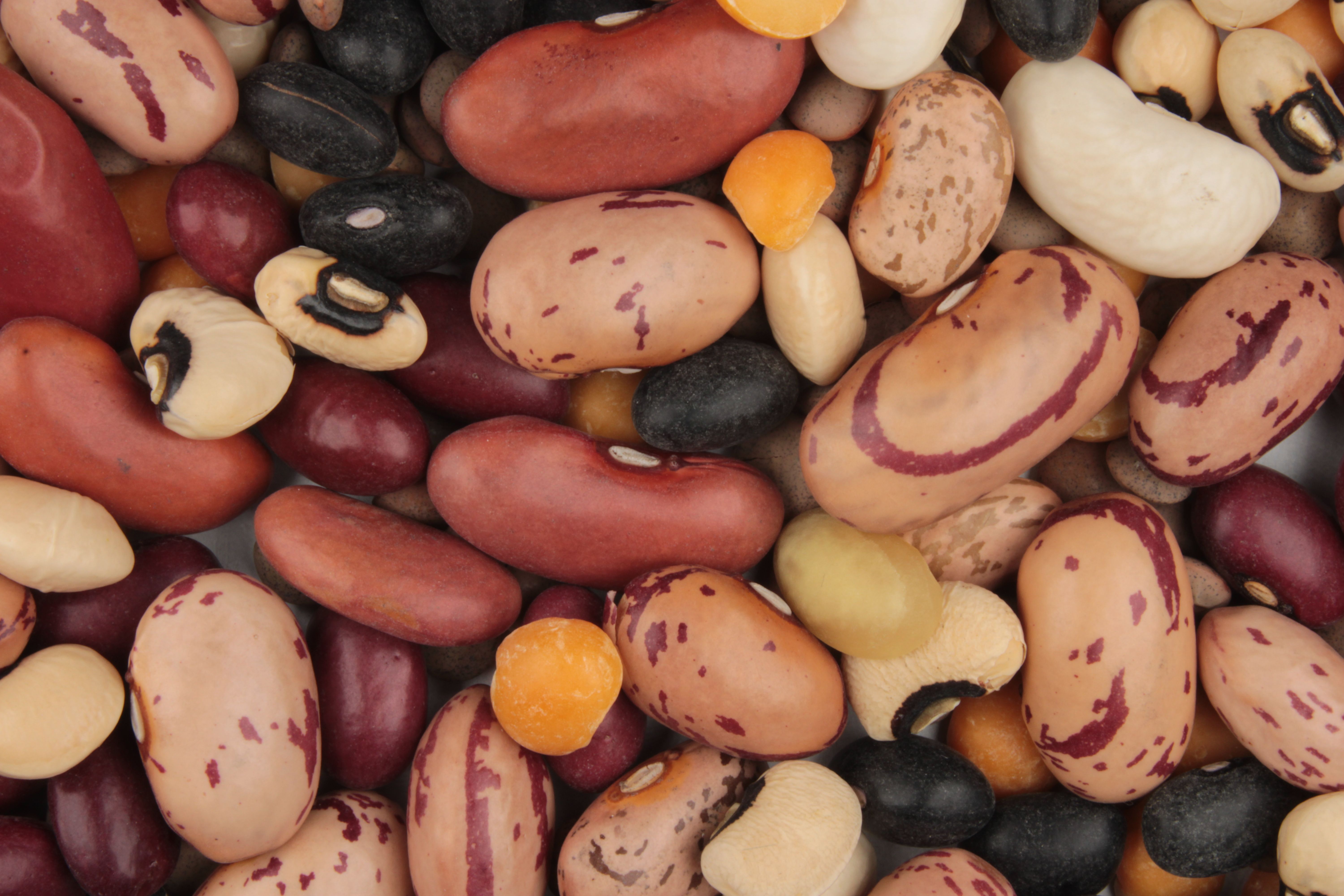 4. Beans and Lentils: Plant Protein That Packs a Punch (image credits: wikimedia)