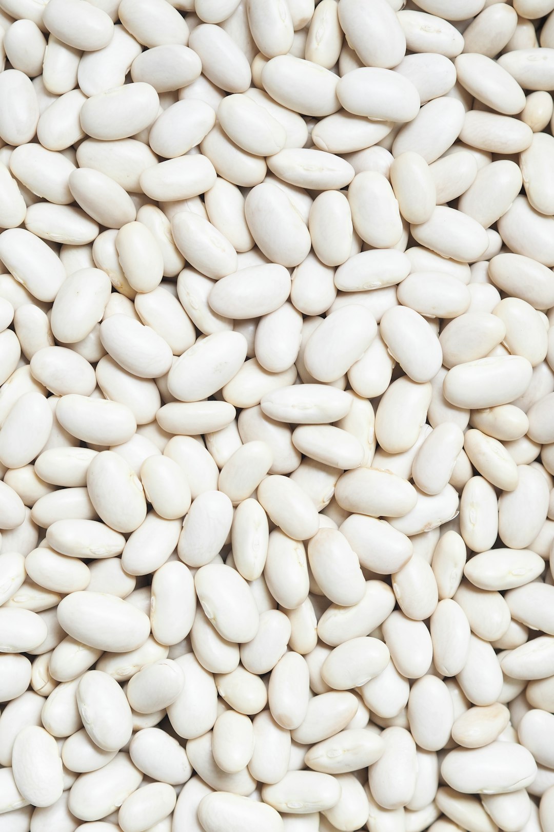 White Beans: A Protein-Packed Potassium Source (image credits: unsplash)
