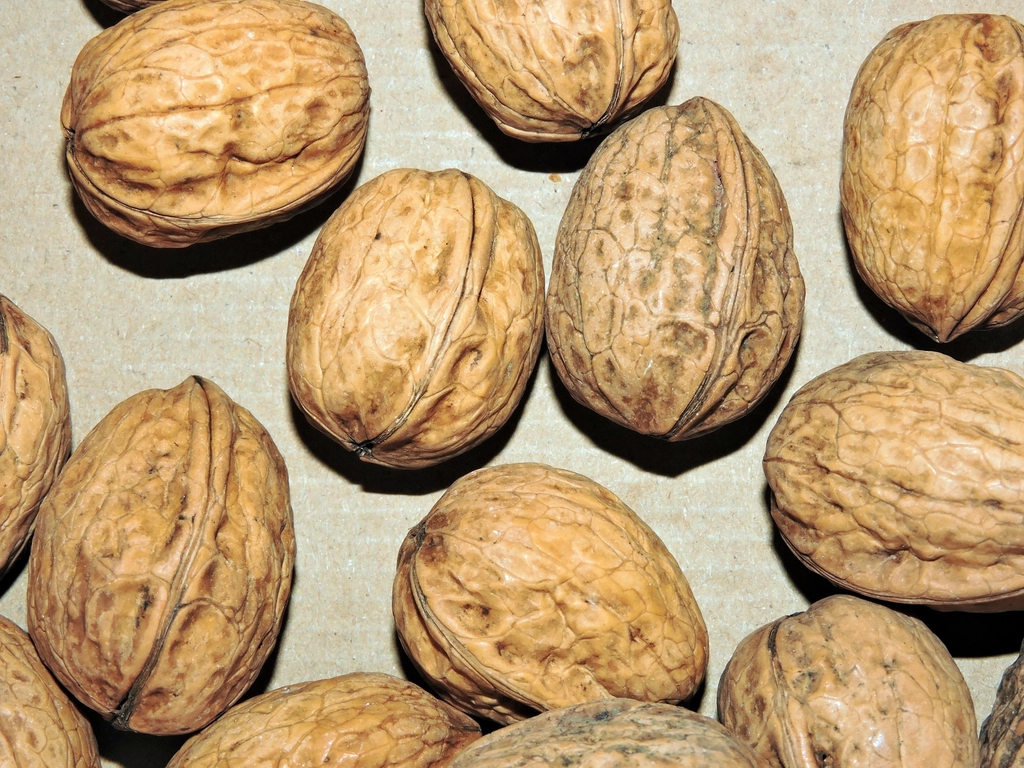 Healthy Fats: Portioning Without Precision (image credits: rawpixel)