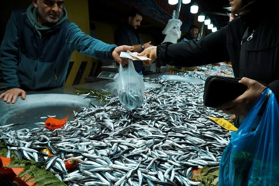 What You Can Actually Do About It (Image Credits: Pexels)