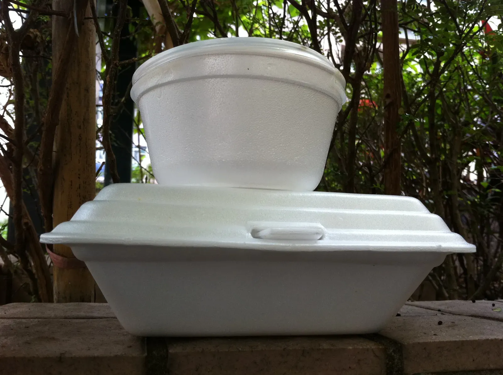 Polystyrene Foam Containers and Cups (Image Credits: Wikimedia)