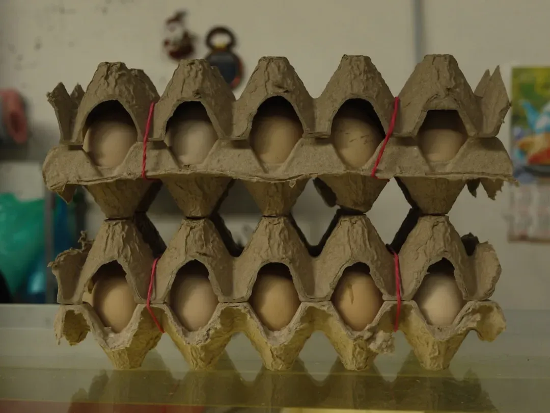 5. Eggs: The Comeback Story of 2026 (Image Credits: Unsplash)