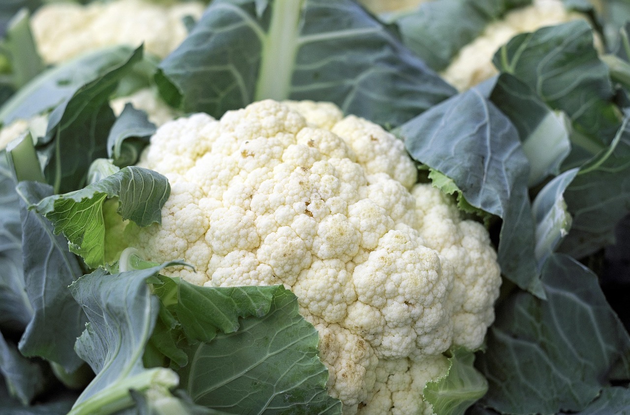 Cauliflower: The Chameleon of the Dessert World (image credits: pixabay)