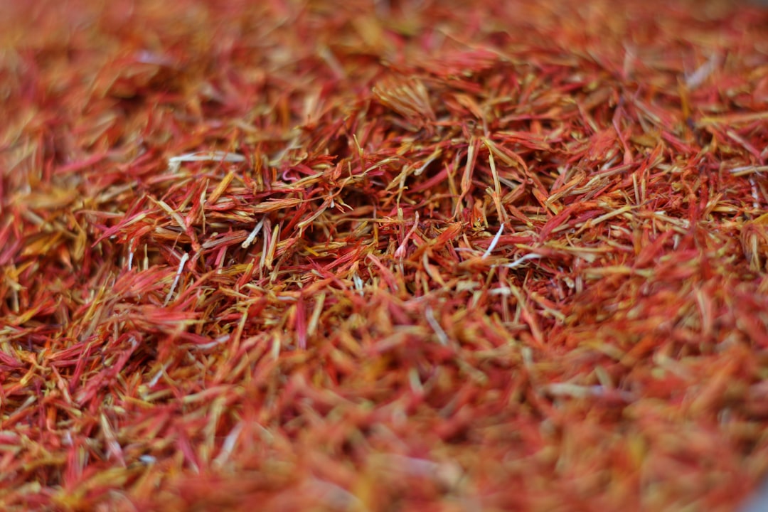 The Spice Must Flow (But Is It Real?) (image credits: unsplash)