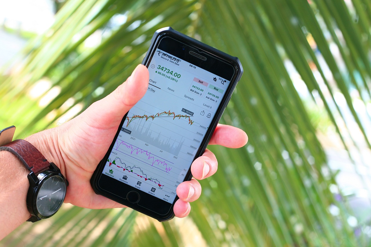 Price Volatility: A Rollercoaster for Consumers (image credits: pixabay)