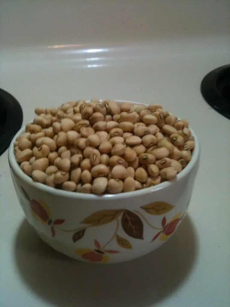 3. Beans and Legumes: The Protein Your Grandparents Ate When Meat Was Too Expensive (Image Credits: Flickr)