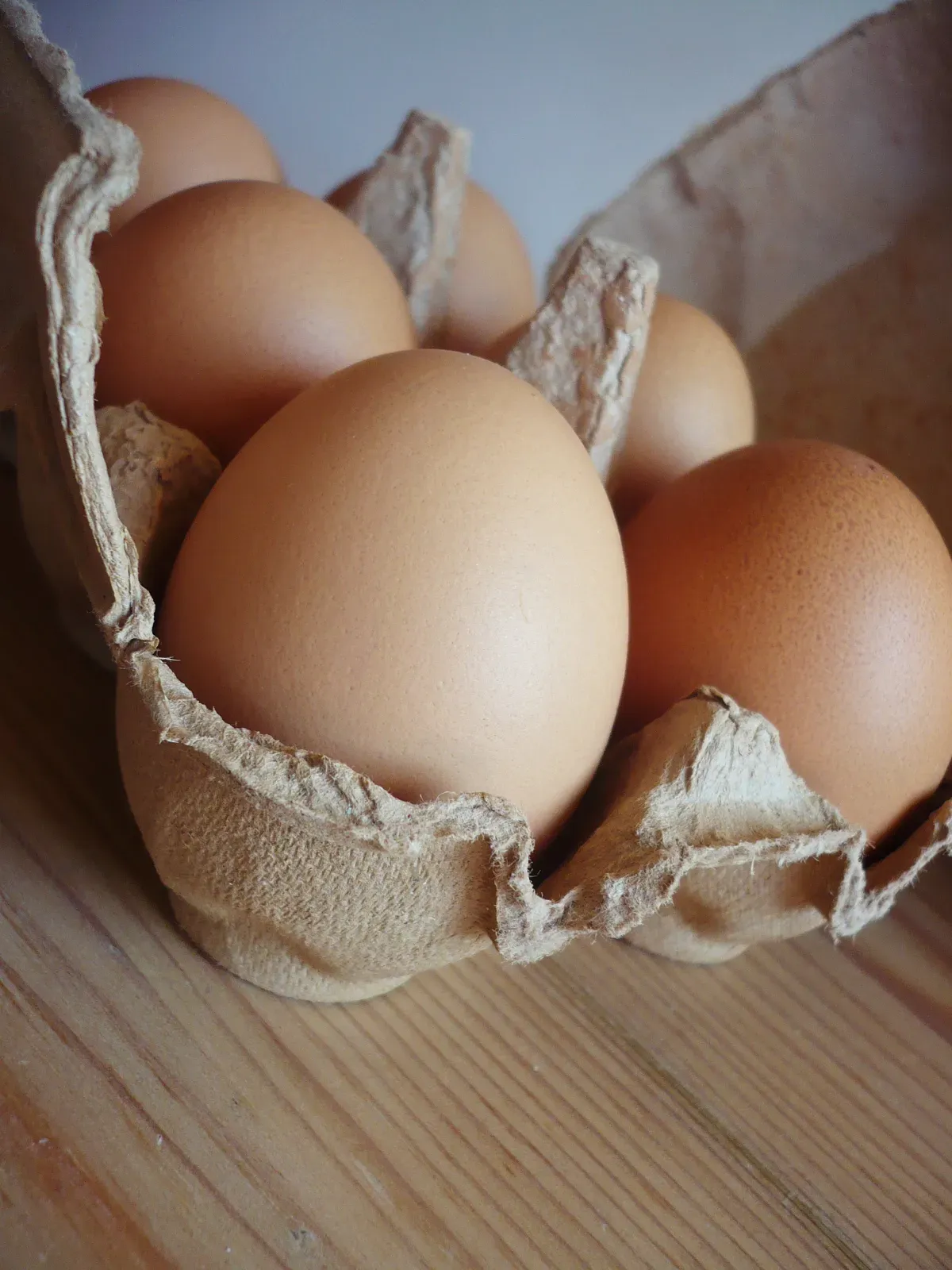 2. Eggs (By Gisela Francisco, CC BY 3.0)