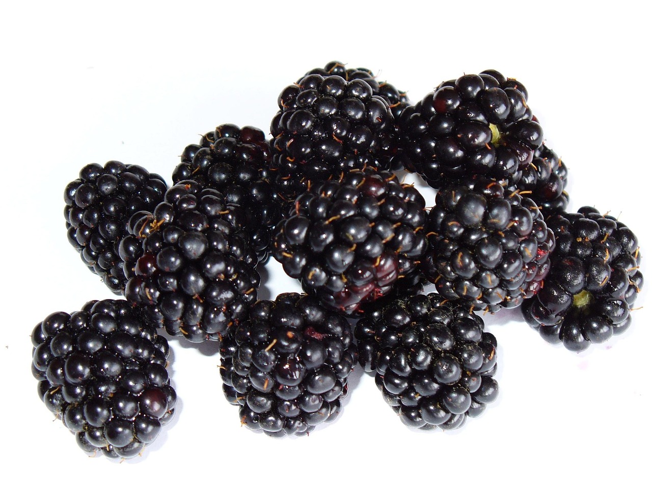 Blackberries: Dark Berries with Big Benefits (image credits: pixabay)