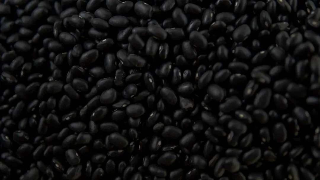 4. Black Beans - A Legume With Serious Mineral Credentials (Image Credits: Unsplash)