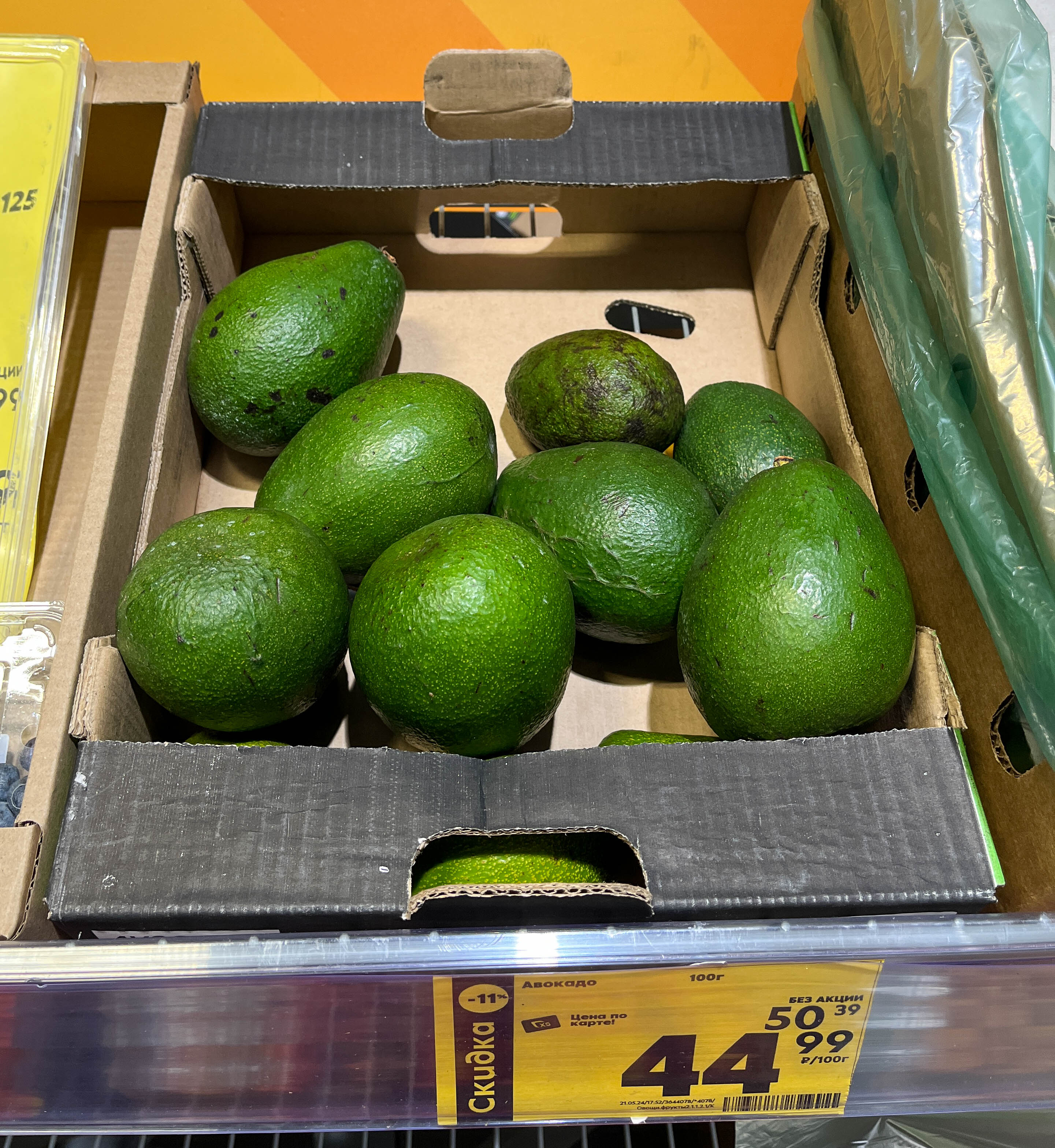 15. The Avocado Anomaly: A Green Gold Rush (image credits: wikimedia)