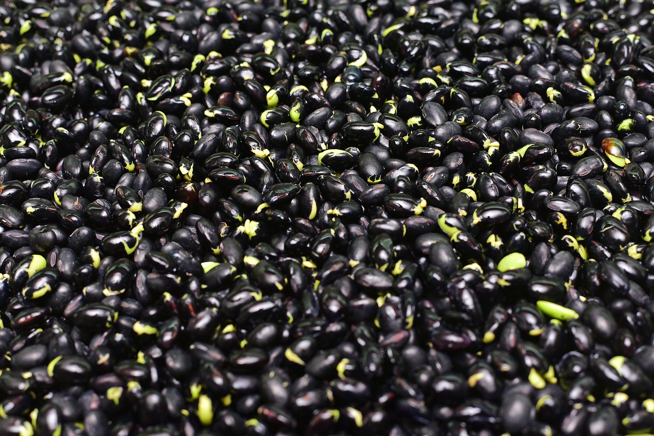 9. Black Beans: The Fiber-Rich Legume (image credits: pixabay)