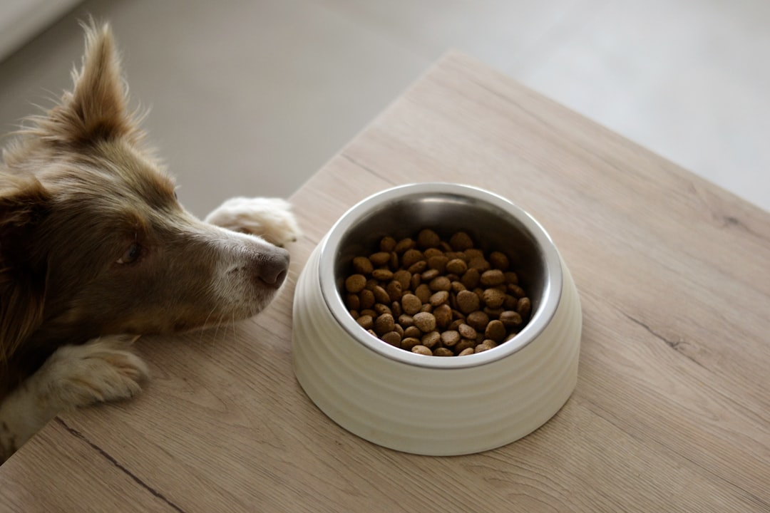 Bush's Baked Beans and Duke's Deceptive Marketing (image credits: unsplash)