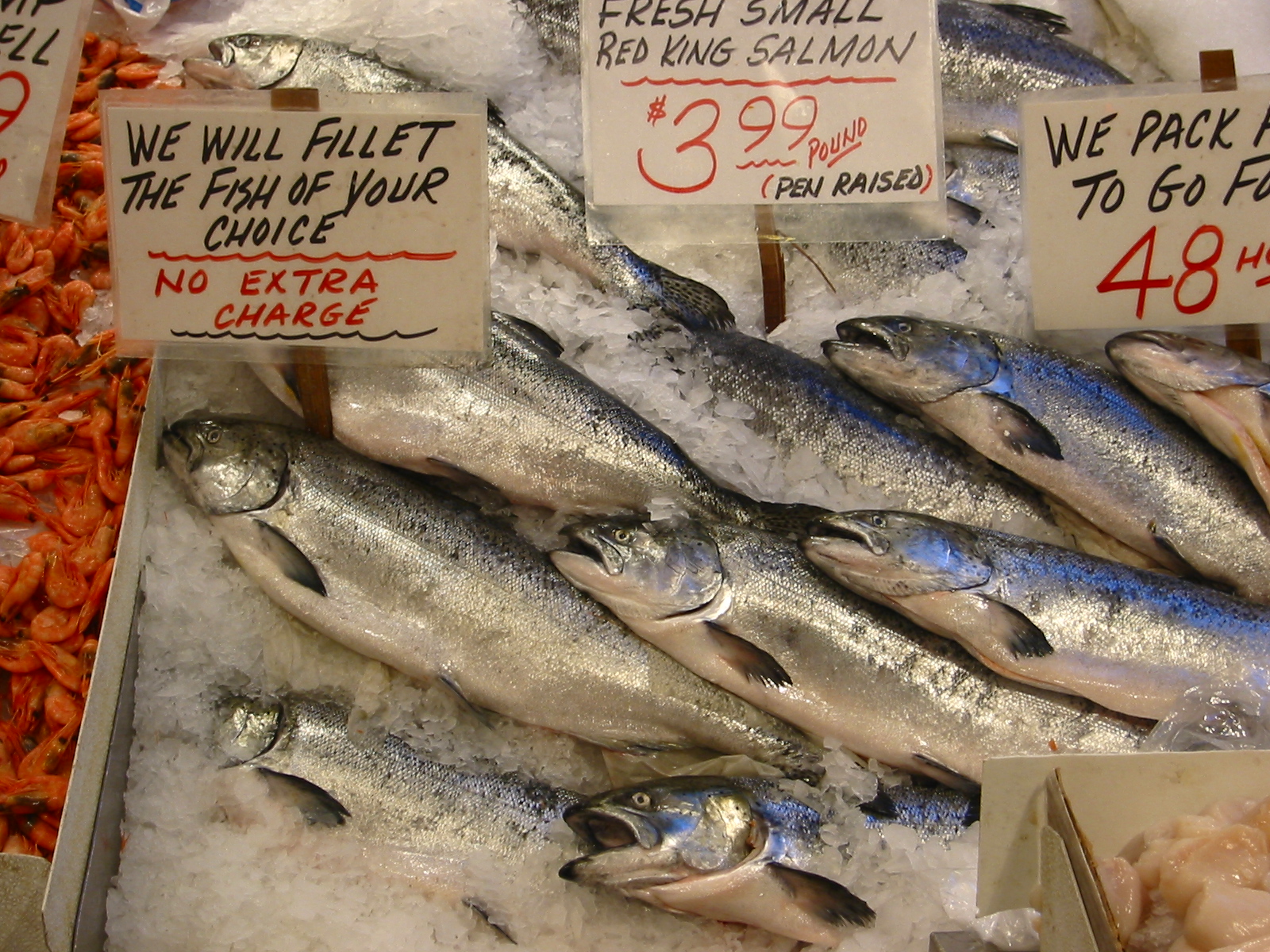 Seafood Saga: From Ocean to Table (image credits: wikimedia)