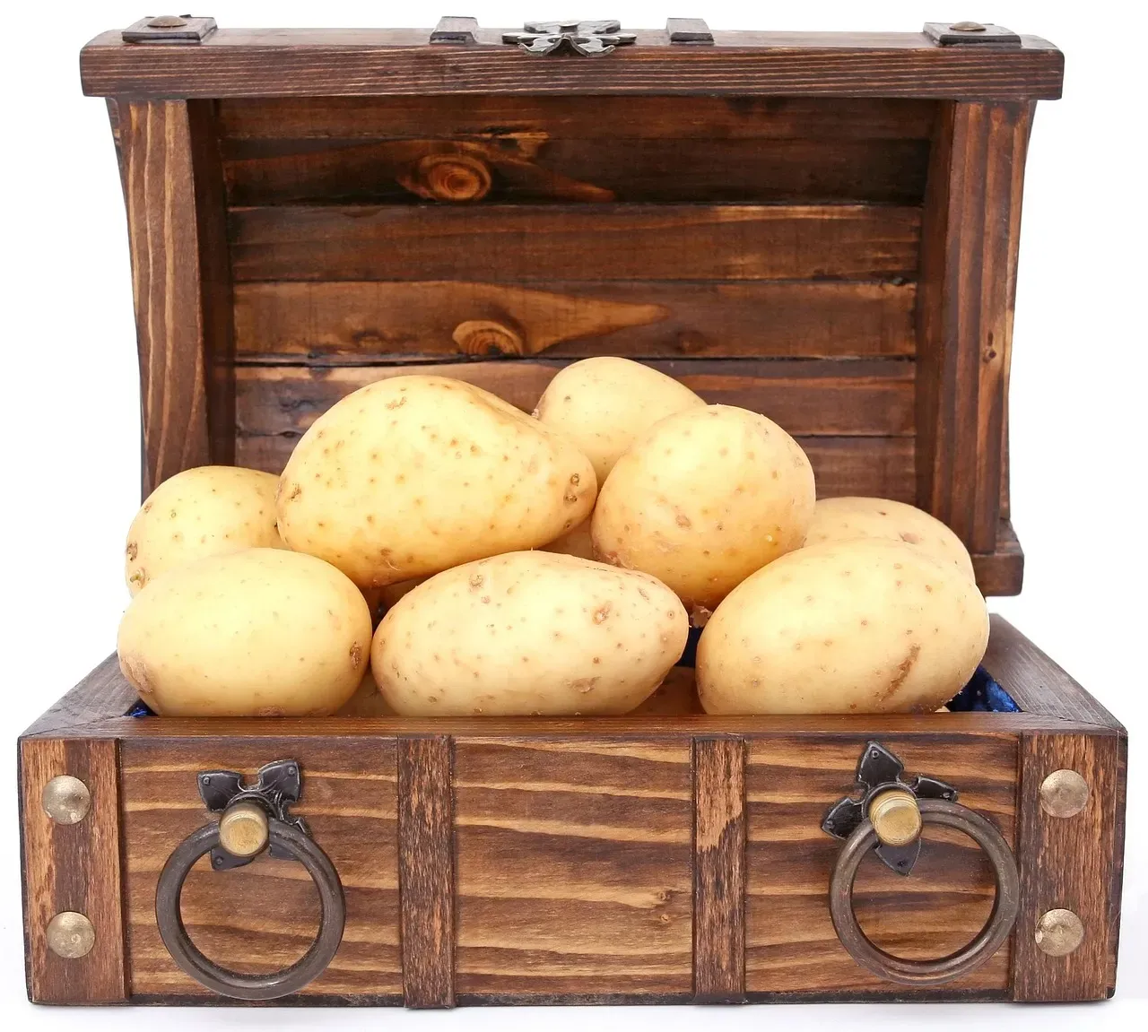 What Food Scientists Say About Proper Potato Storage (Image Credits: Pixabay)