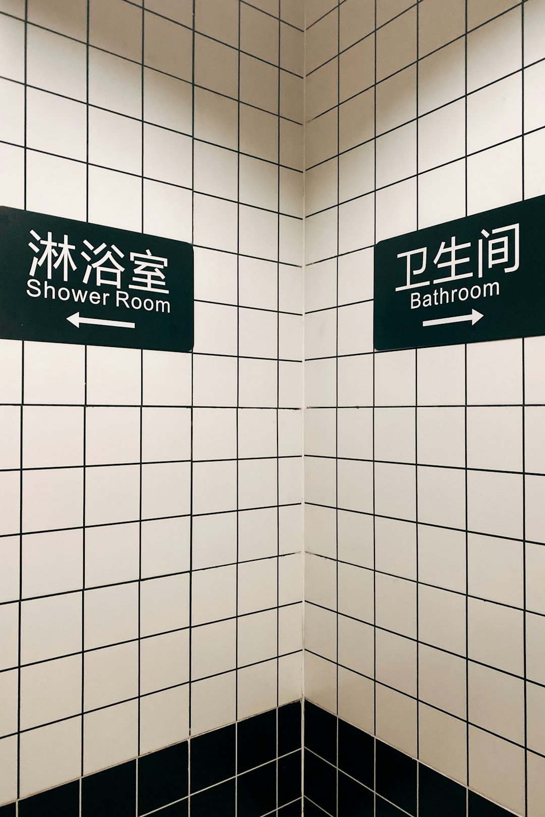 Ignoring the Bathroom (image credits: unsplash)