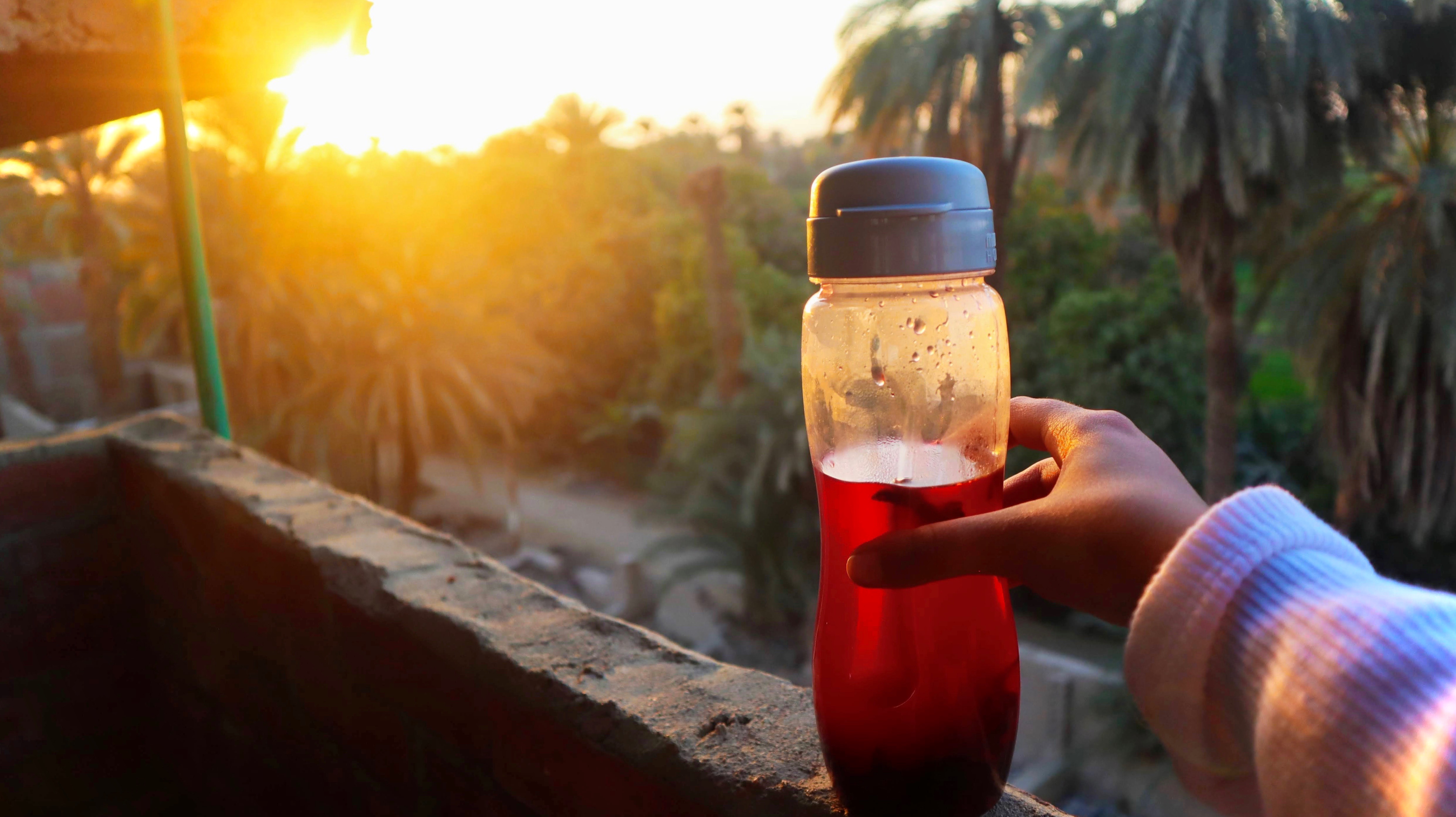 Morning Hydration: The Power of a Simple Start (image credits: wikimedia)