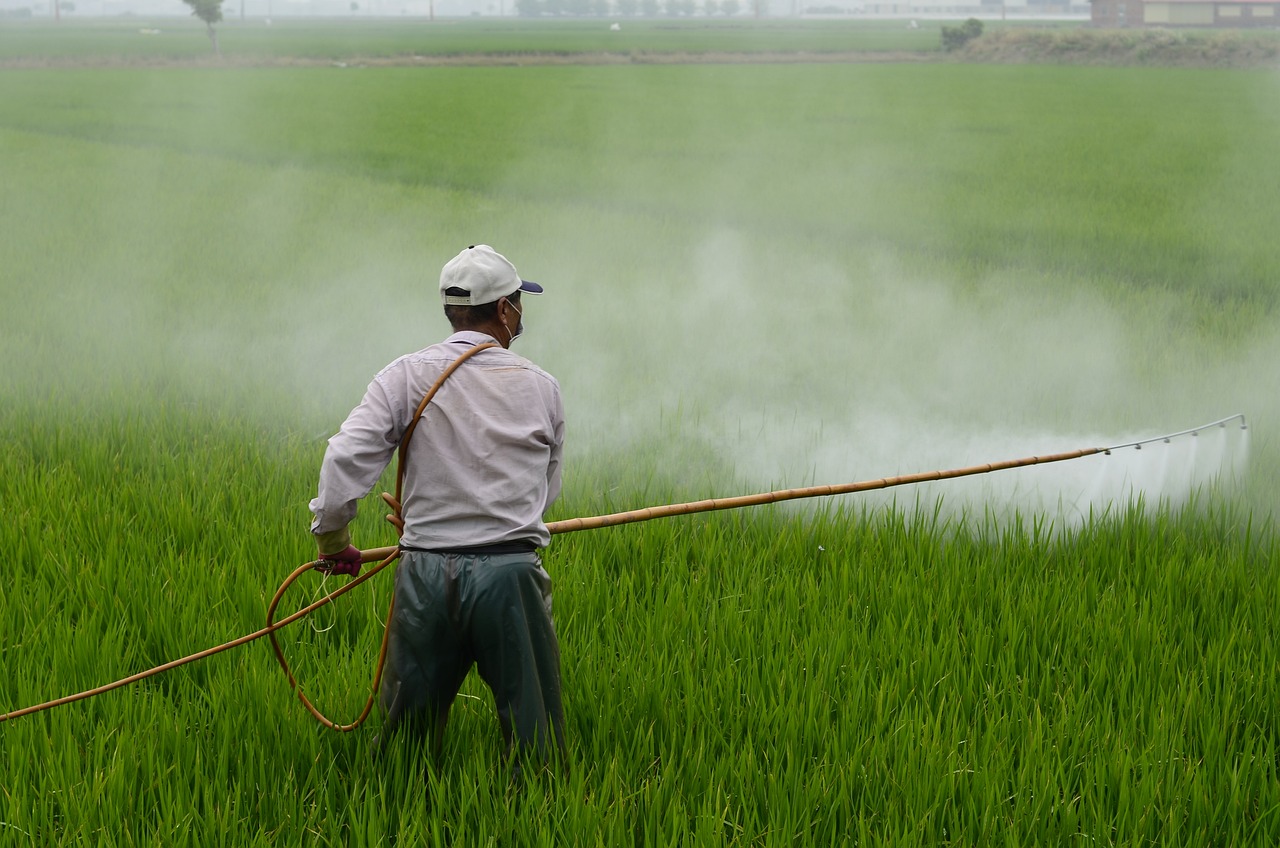 Glyphosate: Scrutinizing a Common Herbicide (image credits: pixabay)