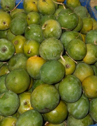 Mangoes: The Sugar King in Disguise (image credits: wikimedia)