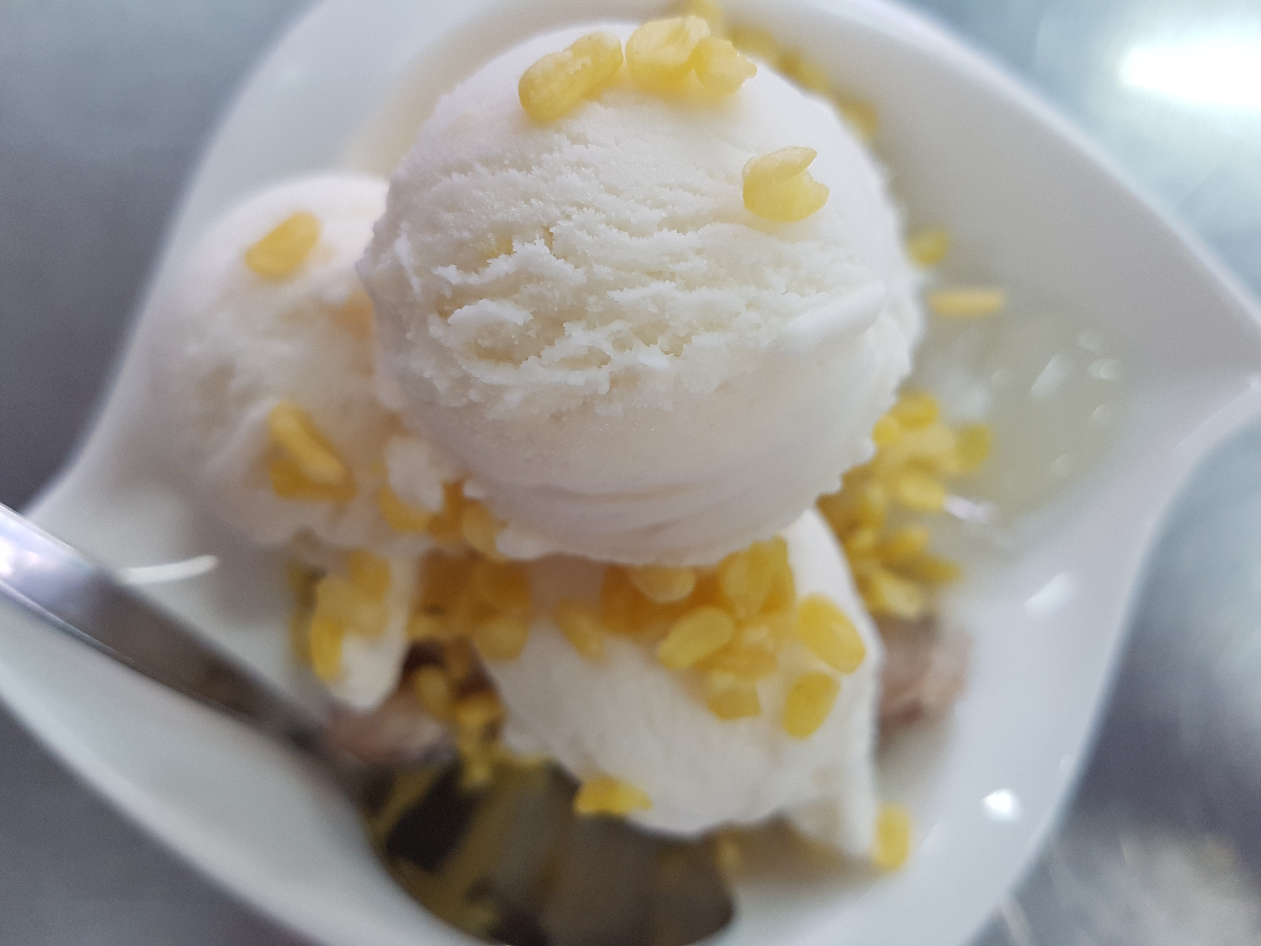 Coconut Milk Ice Cream (image credits: wikimedia)