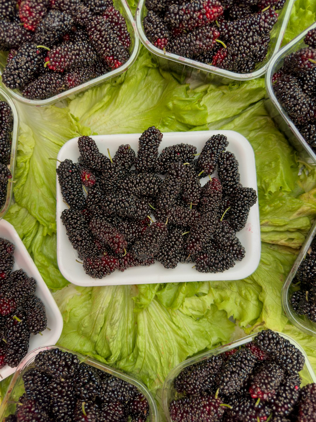 Mulberries (image credits: unsplash)