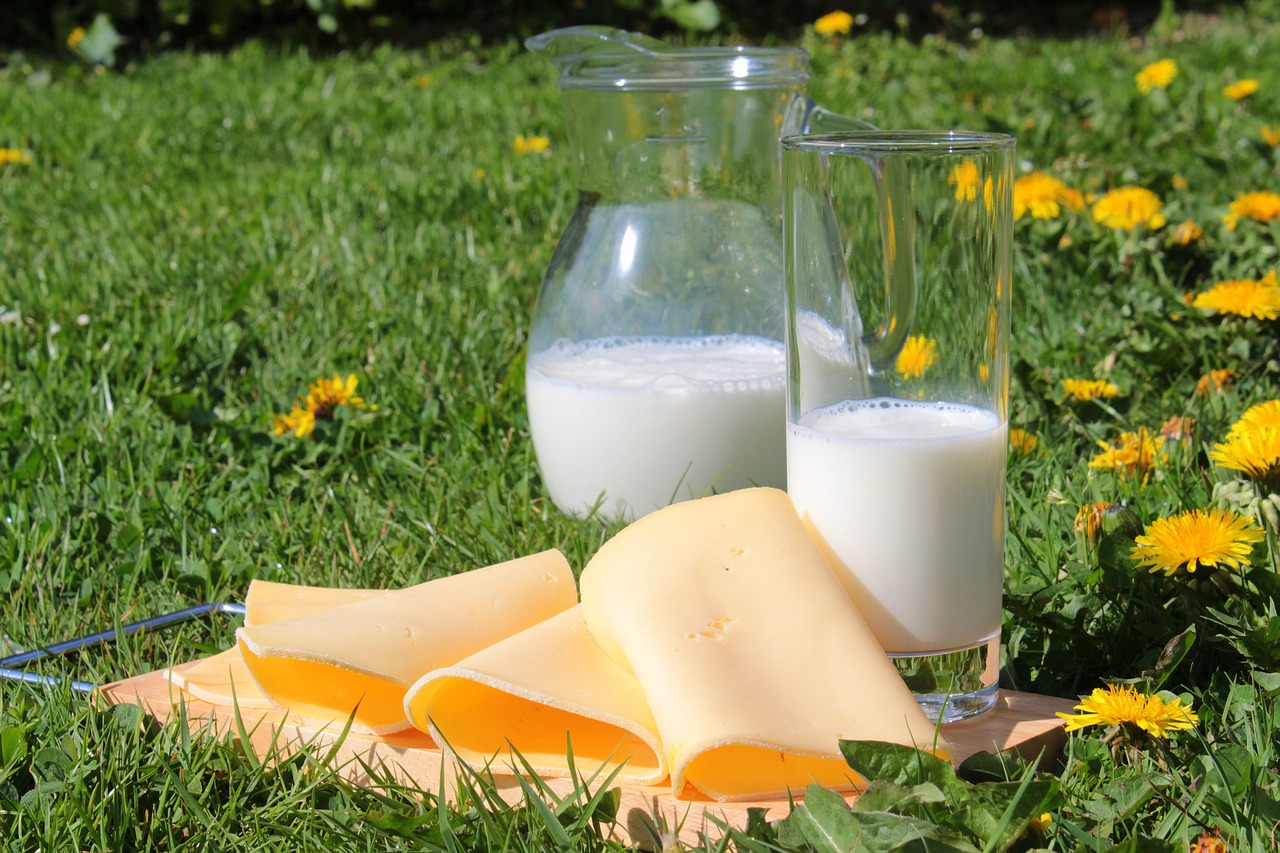 Spinach and Dairy: The Calcium-Iron Blocking Duo (image credits: pixabay)