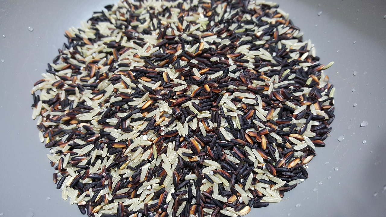 Wild Rice: The Native American Heritage Grain (Image Credits: Pixabay)