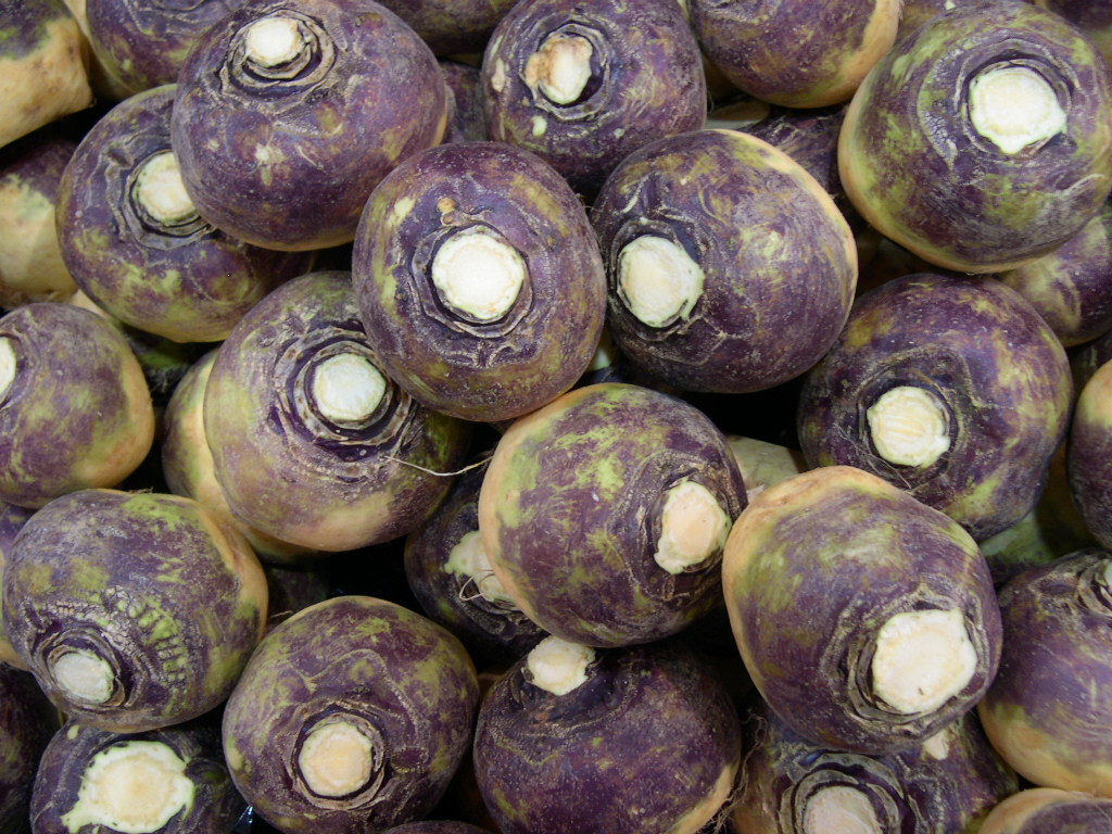Rutabagas: The Sturdy, Sweet Alternative (image credits: wikimedia)