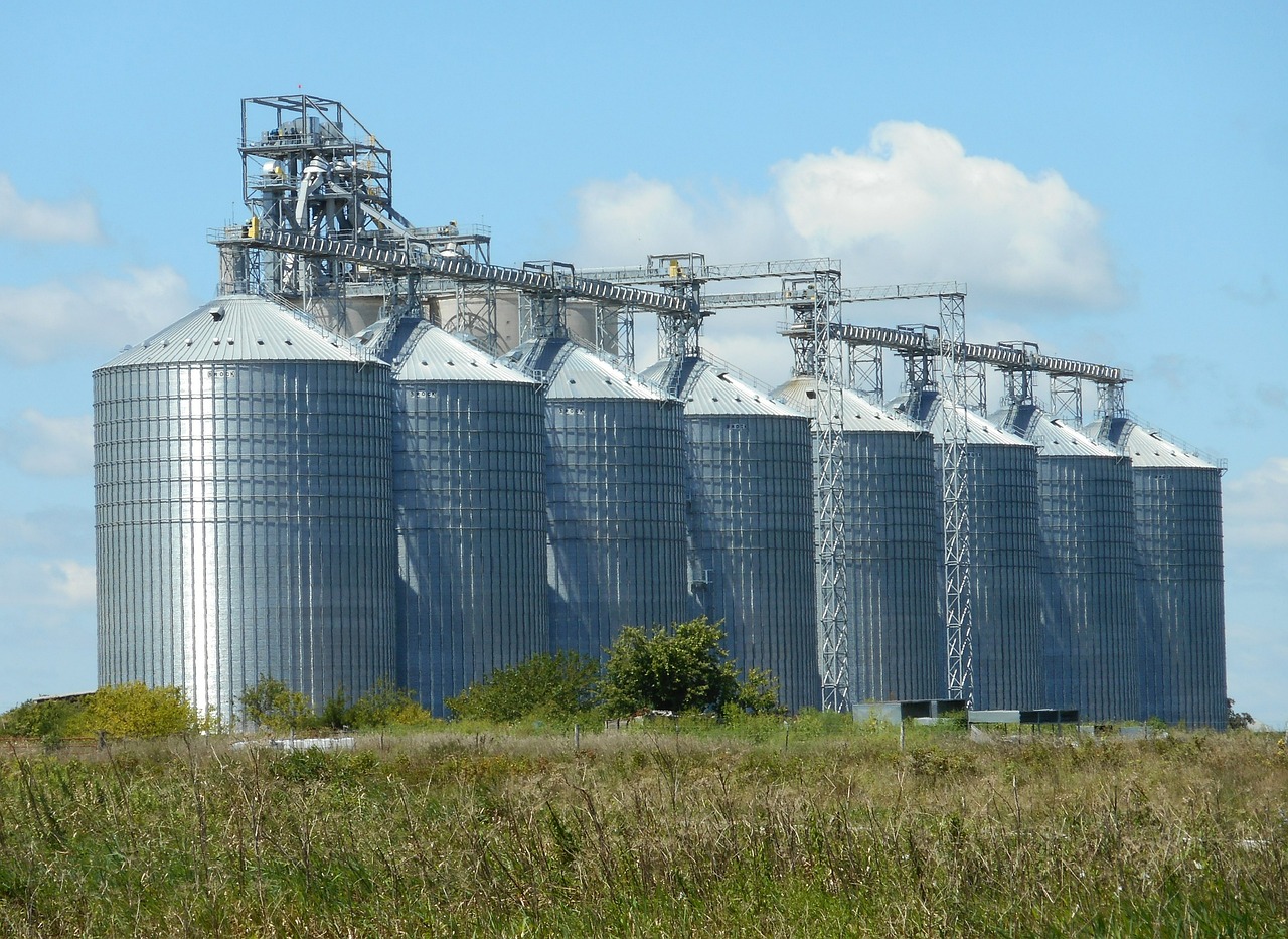 Sorghum: The Gluten-Free Grain That Fools Everyone (image credits: pixabay)