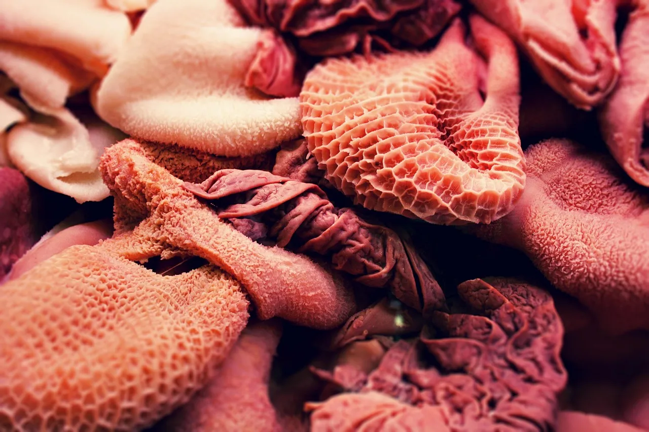The Microbiome in Childhood: Anxiety Seeds Planted Early (Image Credits: Pixabay)