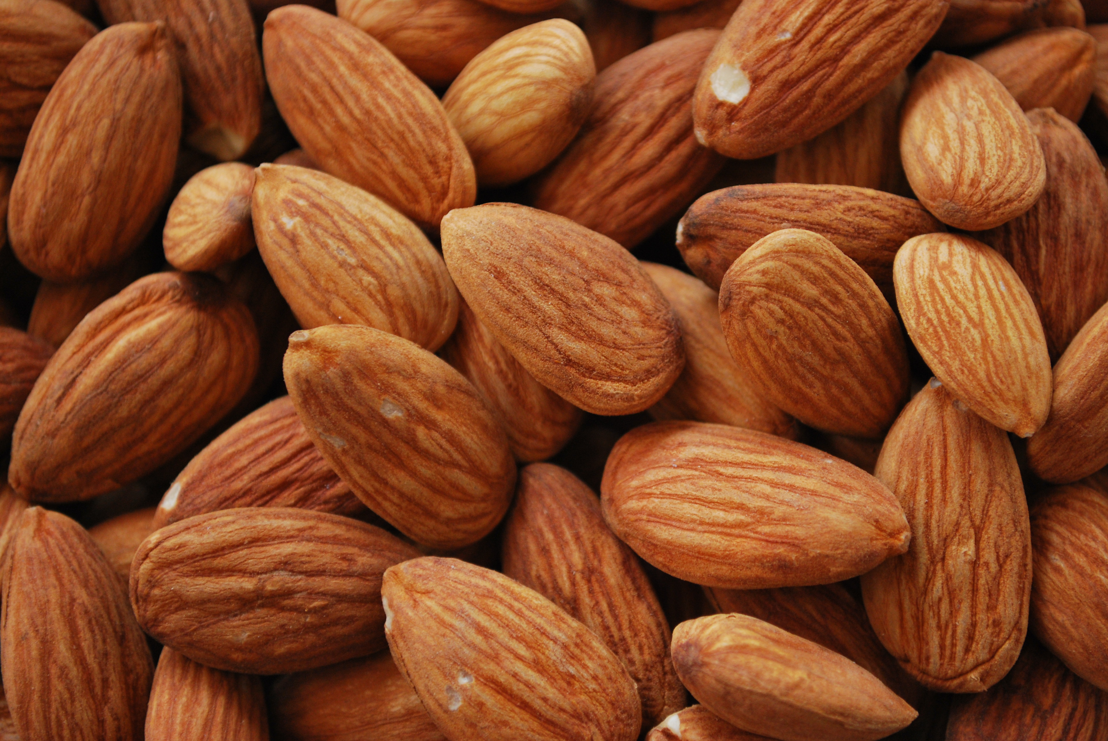 Almonds: The Crunchy Snack That Strengthens Roots (image credits: wikimedia)