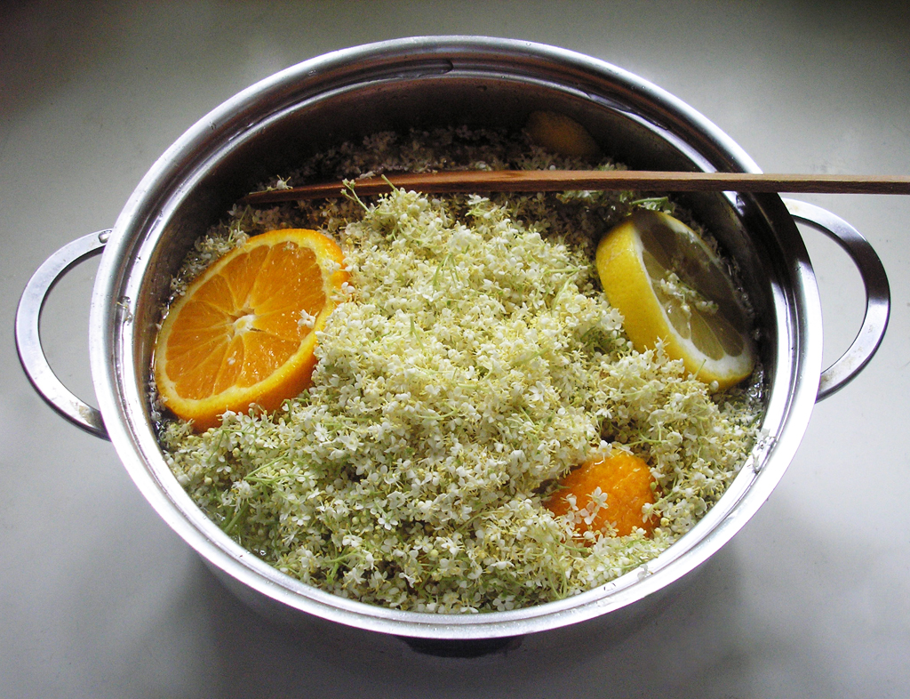 The Future of Elderflower in Culinary Arts (image credits: wikimedia)