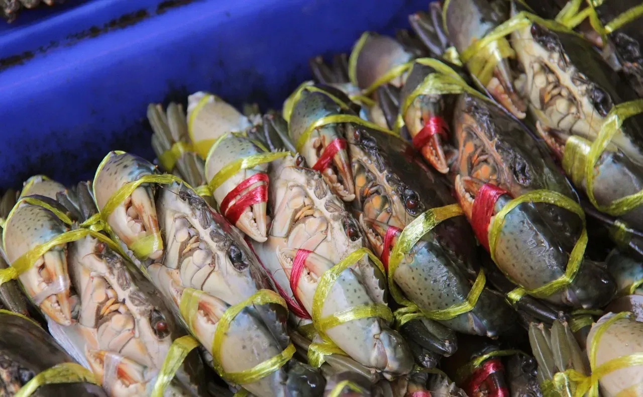 2. Seafood on the Wrong Day of the Week (Image Credits: Pixabay)
