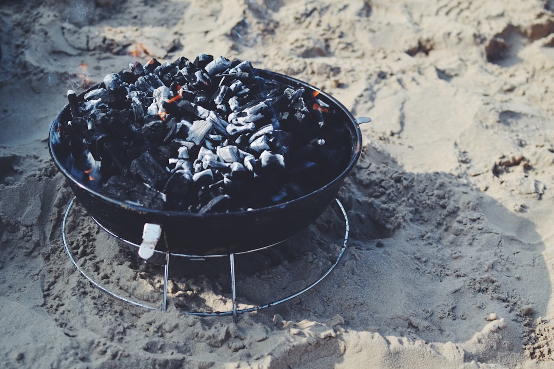 What Exactly is Activated Charcoal? (image credits: unsplash)
