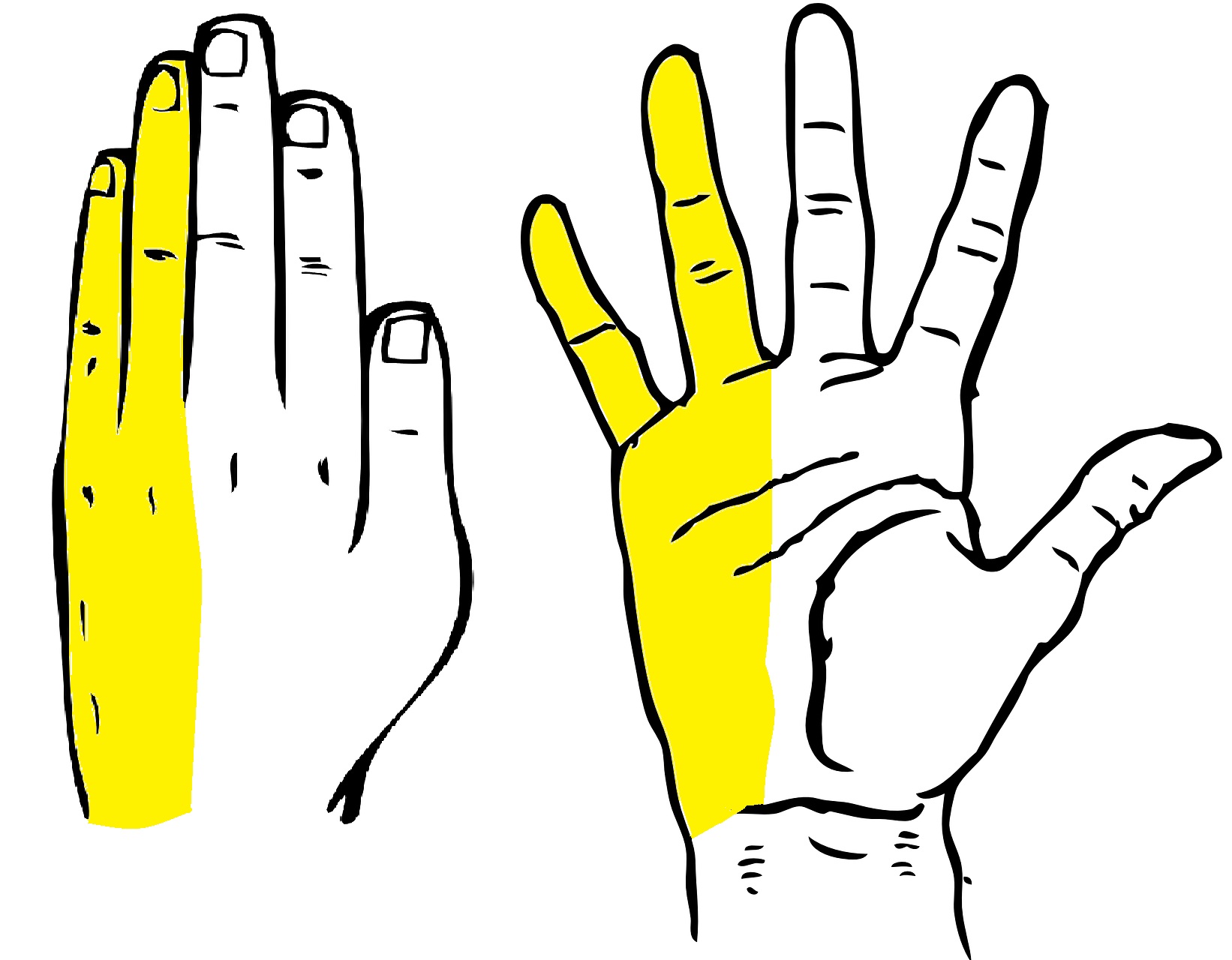 Nerve Problems You Can’t Explain (image credits: wikimedia)