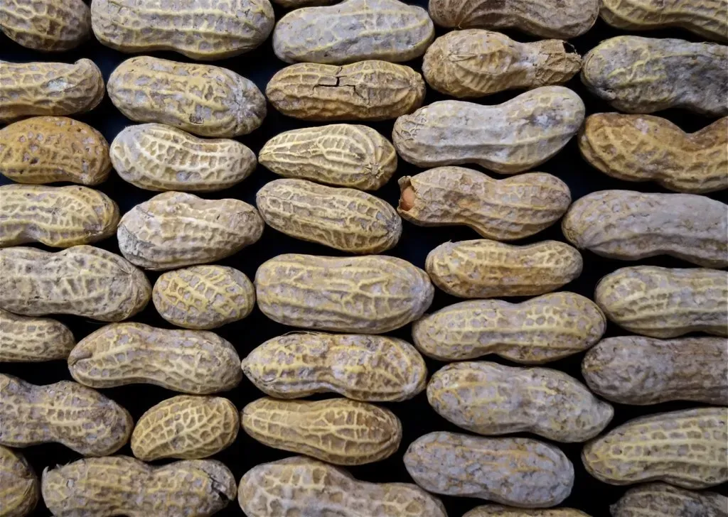 4. Peanuts: Technically Legumes but Nutritionally Powerful (Image Credits: Flickr)