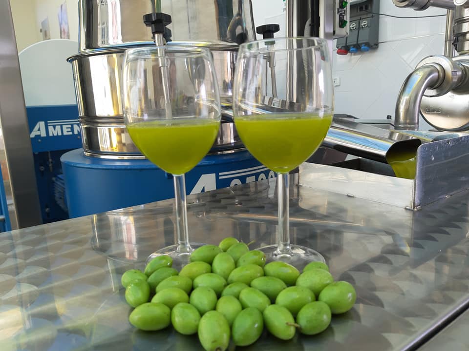 Extra Virgin Olive Oil - Liquid Gold for Your Arteries (image credits: wikimedia)