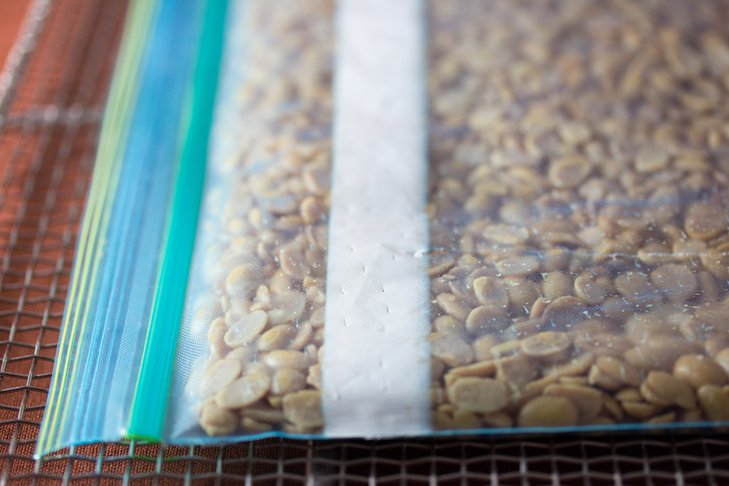Tempeh - The Protein Powerhouse That Molds Over (image credits: flickr)