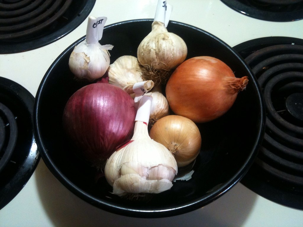 Garlic & Onions (image credits: flickr)