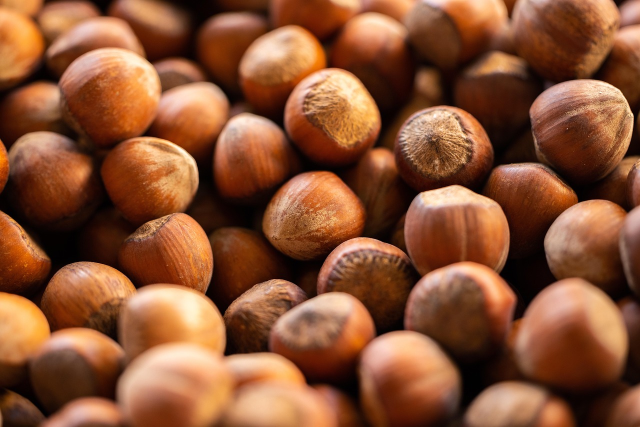 Hazelnuts: Vitamin E Richness (image credits: pixabay)