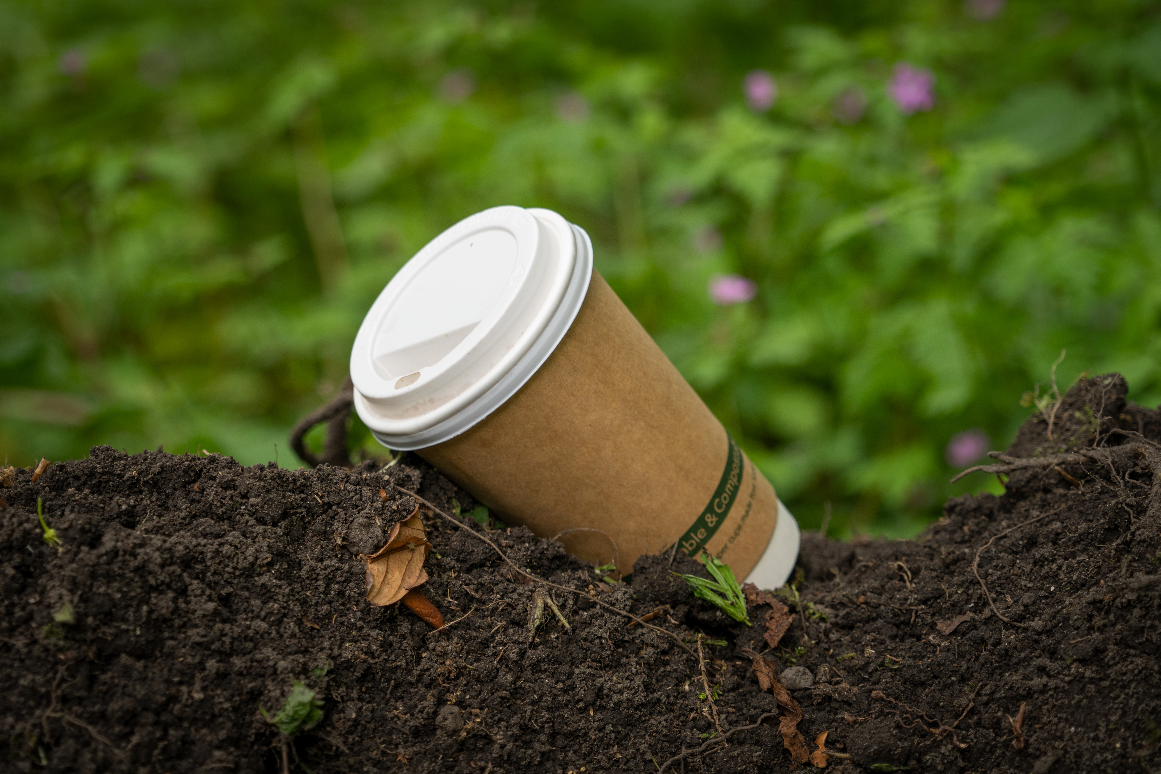 Biodegradable and Compostable Options (image credits: wikimedia)