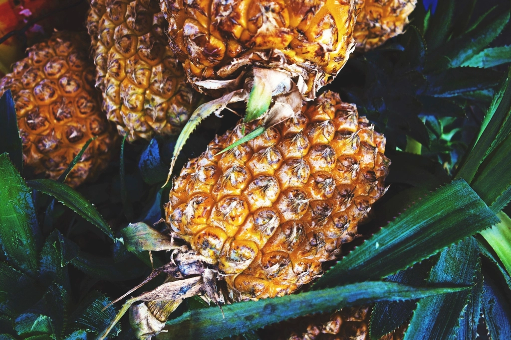 Pineapple (image credits: rawpixel)